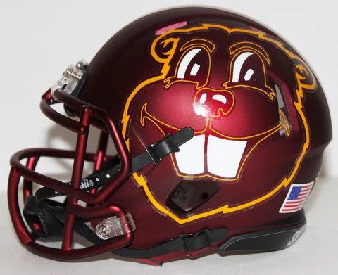 2022 Minnesota Golden Gophers Custom Riddell Mini Helmet vs Syracuse Cover