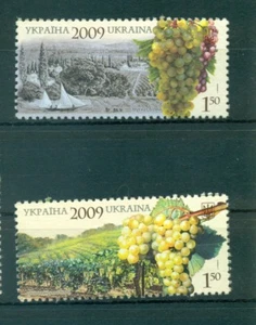 WEINBEREITUNG - WINE MAKING UKRAINE 2009 - Bild 1 von 1