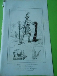 Gravure 1836 - Océania Alfoura en grand costumes Instruments de Musiques - Picture 1 of 1