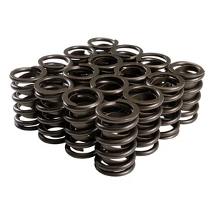 COMP Cams 26942-16 Engine Valve Spring Kit - Picture 1 of 4