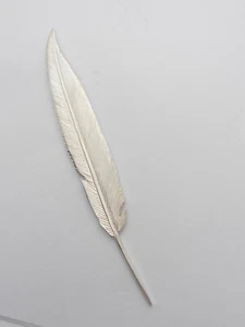 Penna : Spilla da giacca in Argento 925 - Piuma - Scrittore - Scrittura Calamaio - Picture 1 of 8