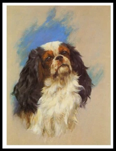 KING CHARLES TOY SPANIEL HEAD STUDY LOVELY VINTAGE STYLE DOG ART PRINT POSTER - Picture 1 of 1