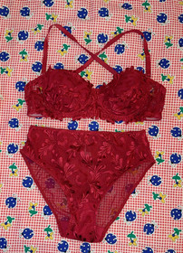 Women's La Perla Bra & Panties Set US 34B/8 made in Italy NWOT's Cranberry