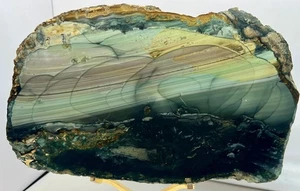 High Grade- Blue Mountain Picture Jasper Lapidary Display Slab. Stand Included - Picture 1 of 14