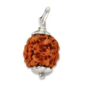 3 Mukhi Nepal Rudraksha Natural Three Face In Pure Silver Pendant - Picture 1 of 1