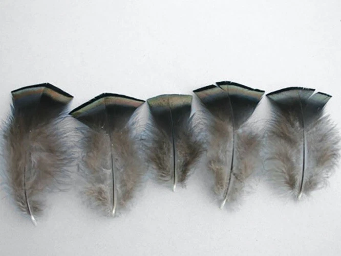 Plumas de pechuga de pavo salvaje de 1 onza Foto 1 de 1