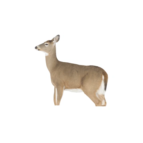 Montana Decoy Whitetail Hunting Portable Deer