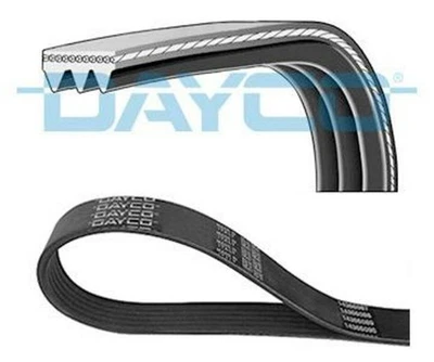 DAYCO Courroie Poly-V Courroie d'accessoire 3PK590 pour BMW 7 (E32) 8 (E31) - Photo 1/4