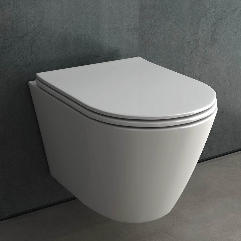 ALPENBERGER Toilette Hänge WC Spülrandloses Wand WC Kloschüssel mit WC Sitz pass. GEBERIT