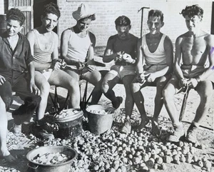 Fotos de prensa de 1948 detenidos judíos Chipre pelando papas Palestina campamentos judíos - Imagen 1 de 3