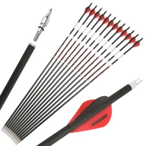 6/12 X 31'' Archery Luminous Arrow Spine 300-600 Pure Carbon +/- .003 Shooting - Picture 1 of 18