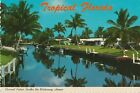 Coconut Palms in South Florida Vintage Color Postcard Free Shipping!