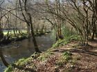 Photo 6X4 River Teign Butts/Sx8089 Looking Upstream From Dunsford Bridle C2011
