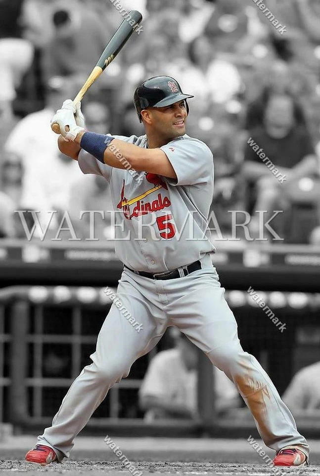 Foto foco DB929 Albert Pujols Cardenales de San Luis 8x10 11x14 16x20 Foto 1 de 1