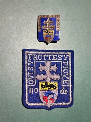 Lot 1 Insigne 110 RI Régiment Infanterie Liberation Militaria ww2 FFI Armée - Photo 1/4