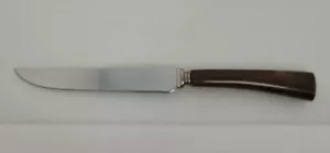 Vintage E Parker And Sons 3709 Sheffield England Steak Knife Stainless Steel - Picture 1 of 4