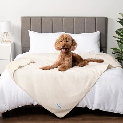  Manta impermeable para perros extra grandes, a prueba de orina para reina (90x90) beige Foto 1 de 4