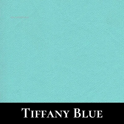 Fits Ruger RXM W/ TLR-1 / TLR-1 HL (OWB) Outside Waistband Kydex Holster - Image 1 of 4