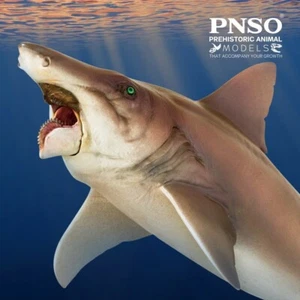 PNSO 2021 Haylee the Helicoprion - pesce preistorico con mandibola mobile - Imagen 1 de 5