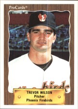 1990 Phoenix Firebirds ProCards #12 Trevor Wilson