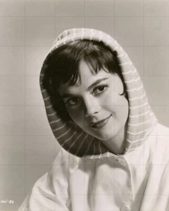 Natalie Wood - 10"" x 8"" mit Warner Bros. Studio Porträtfotografie 1950er Jahre - Bild 1 von 1