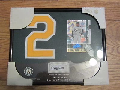 Playoff Absolute Memorabilia 2002 Carlos Peña autógrafo/número de camiseta firmado Foto 1 de 3