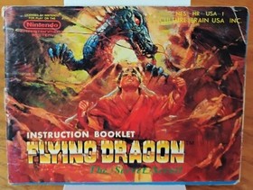 USED AUTHENTIC MANUAL ONLY - NO GAME NO BOX - FLYING DRAGON  NES
