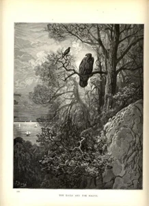 1880 STAMPA Antica = L'AQUILA E LA GAZZA = FAVOLE di LA FONTAINE di G. DORÉ - Foto 1 di 1