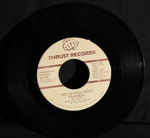 Ethereal-Molto Taco Homo-Who Put The Funk In My Trunk-Thrust TM-3402-Funk-'80 45 - Picture 1 of 2