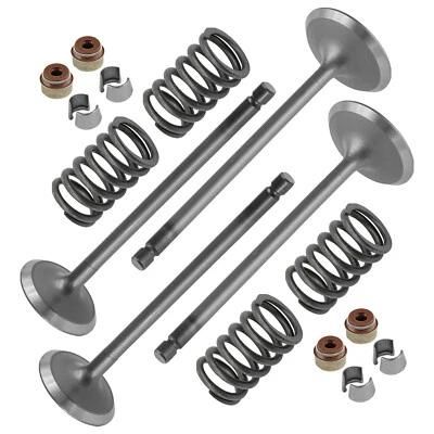 Kit de válvula de escape de admisión de culata para Arctic Cat XR 700 LTD XT 2015 Foto 1 de 4