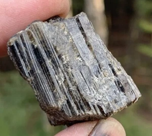 DRAVITE TURMALINA MARRÓN RARO HERMOSO CRISTAL NATURAL ESPÉCIMEN INDIA - Imagen 1 de 11