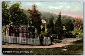 AK Bärenkäfig im Mountain Park, Holyoke MA B321 - Bild 1 von 2