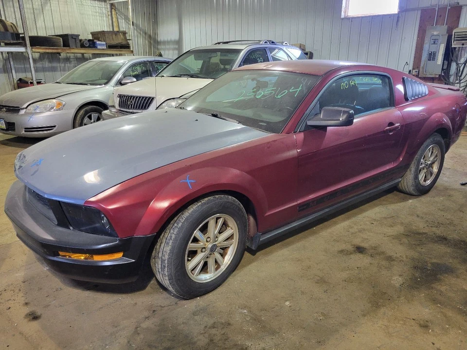 Rotor de frenos traseros 11,8" para 05-14 Mustang 2074161 Foto 1 de 4