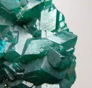 DIOPTASE beautiful crystals --- Dem. Rep. CONGO - Kolwezi - Kapata Mine /pk863 - Picture 1 of 15