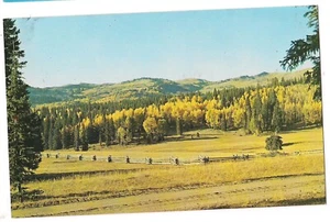BIG JOHN'S FLAT Delano Belknap Near Beaver Utah Postcard UT Yellow Trees Fence - Picture 1 of 2