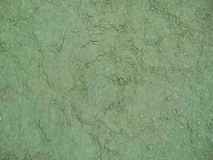 Bohemian Green Earth - Kremer Artist Dry Powder Pigments - Picture 1 of 3
