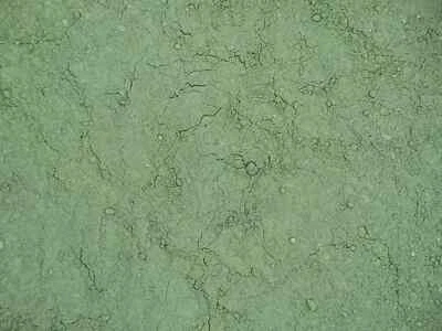 Bohemian Green Earth - Kremer Artist Dry Powder Pigments - Image 1 of 3