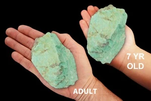 Amazonite 3 1/2" 4-7 Unzen Steine und Mineralien natürliche Heilkristalle und Steine - Bild 1 von 3
