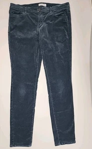 Ann Taylor Loft Modern Skinny Corduroy Pants Blue Women’s Size 30/10 - Picture 1 of 7