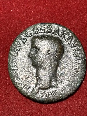 Roman Imperial Claudius AE As Rome 41-50 AD Constantia rev. - Image 1 of 4