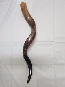 Shofar Yemenita Kudu Cuerno Kosher Pulido Completo de Israel XLarge 40""-42"" Israel - Imagen 1 de 7