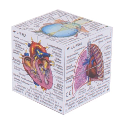 ZooBooKoo Scientific Human Body Cube - Systeme und Statistiken (deutsche Version)