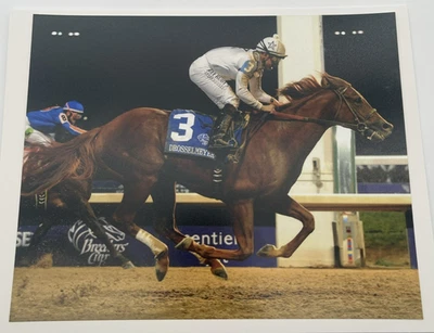 2011 Breeders’ Cup Classic Drosselmeyer & Mike E. Smith 8x10 Photo - Image 1 of 4