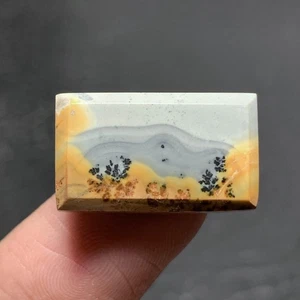 Maligano Jasper Cabochon 20x12x4.5mm High Quality 13.5 ct - Picture 1 of 6
