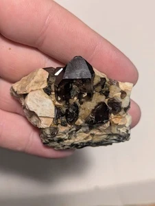 Smokey Quartz Crystals W Microline Cluster From Colorado CO - Picture 1 of 8