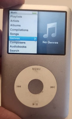 IPOD A1238 80GB, defecto menor en pantalla Foto 1 de 4