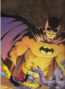 LITHOGRAPH BATGIRL/CATWOMAN KEVIN MAGUIRE - Picture 1 of 1