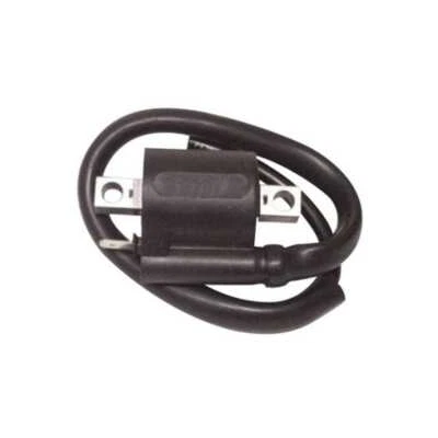 Bobina de encendido externa Yamaha Pw50 50 2004-2018 404030095#107 Foto 1 de 2
