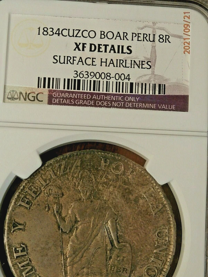 1834 PERU CUZCO BOAR 8 REALS NGC XF DETAILS #P-113 - Image 1 of 4