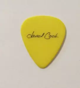 David Cook Gitarren-Plektrum AMERICAN IDOL! - Bild 1 von 1